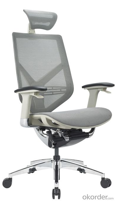 Ergonomic Executive Office Mesh Chair CMAX-001 System 1