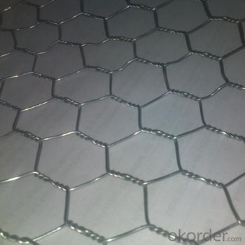 Galvanized Hexagonal Wire Mesh 0.42 mm Gauge