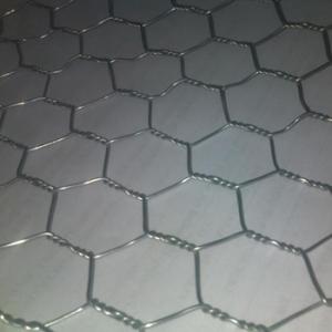 Galvanized Hexagonal Wire Mesh 0.42 mm Gauge System 1