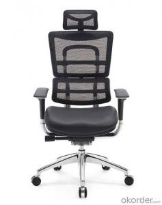 Ergonomic Office Mesh Chair Factory Wholesale