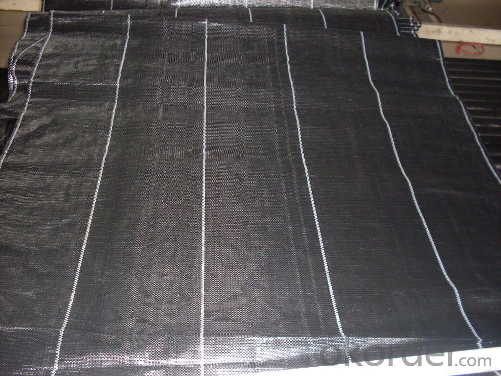 PP Woven Geotextile with UV Resistant 3%~5%