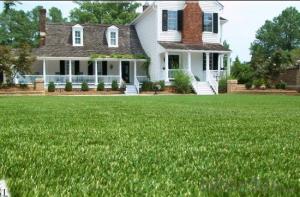 Artificial Carpet Grass Prices, Grass Artificial for Football Field