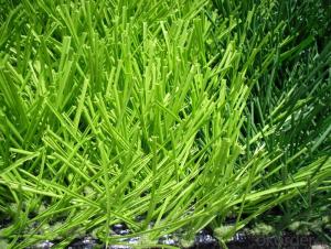 Stocked Garden Landscape Artificial Grass in Stock CMAX