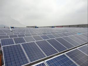 Poly 245w solar panel price A grade PV panels