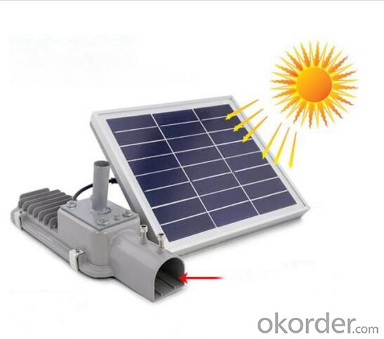 12W Outdoor Solar LED Street Garden Lights with Solar Panel (CE RoHS)
