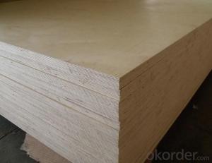 CD Grade Laminated Birch Plywood in 9mm 12mm 15mm and 18mm