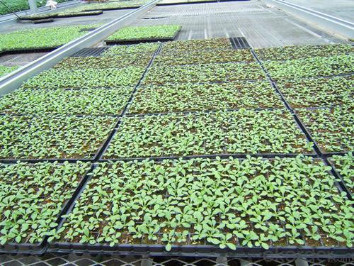 2016 Hot New Products Hydroponic Garden Greenhouse Propagation Root Heat Mat /Seed Cell Plug Tray System 1