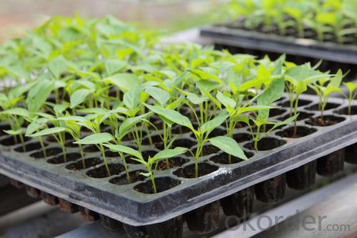 50 Cell Plastic PS Biodegradable Seed Tray Cell Plug Tray System 1