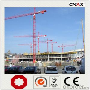 Tower Crane TC6520 VFD PLC CMAX Brand in China