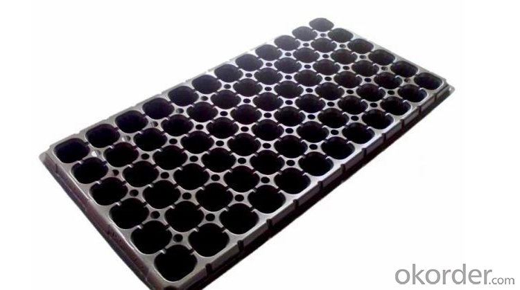 Black Plastic Nursery Plug Trays with Flat Covers