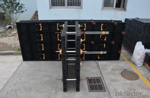 Made in China  Plastic Reusable Formwork