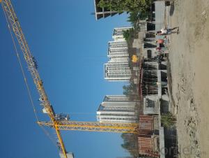 Competitive Price 6t Climbing Building Construcion Tower Crane