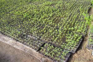 Yardwe Seedling Starter Trays 12 Cell Seed Planting Insert Plug Tray Plant Growing Plugs for Garden Soil Hydroponics Nursery 5Pcs