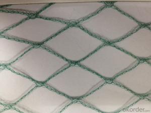 Plastic  Anti-Birds Net white Green for Agriculture Manufacturer