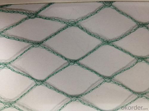 Clear Plastic Anti-Birds Net White Green for Agriculture System 1