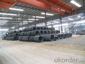 Hot Rolled Steel Wire Rod GB/JIS/ASTM/DIN High Qulity System 1