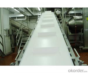 Green White Color PVC & PU Conveyor Belt for Food Industry