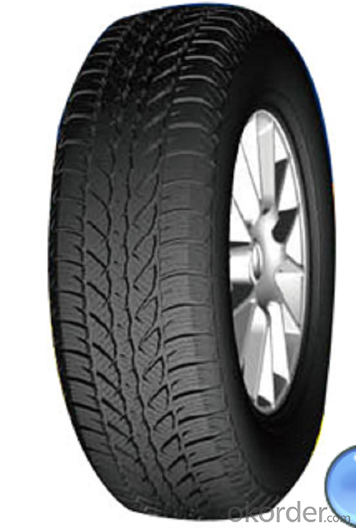 Passager Car Radial Tyre A501 with High Speed