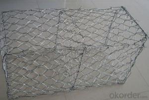 Hot Dipped Galvanized Chicken Wire Mesh In Hot Sale System 1