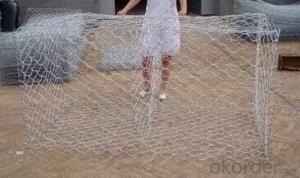 Hot Dipped Galvanized Hexagonal Wire Mesh In Hot Sale