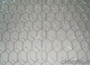 Hexagonal Wire Mesh Factory Supply In High Quality