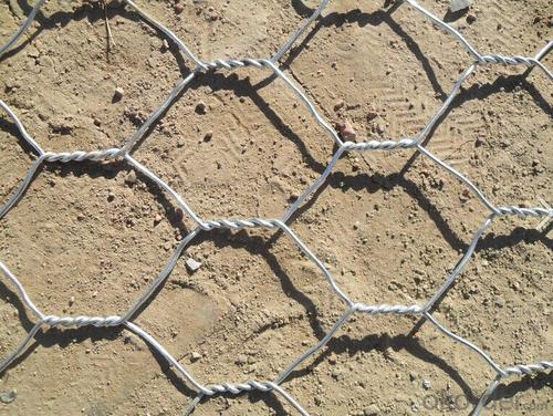 Galvanized Iron Hexagonal Wire Mesh In High Quality System 1