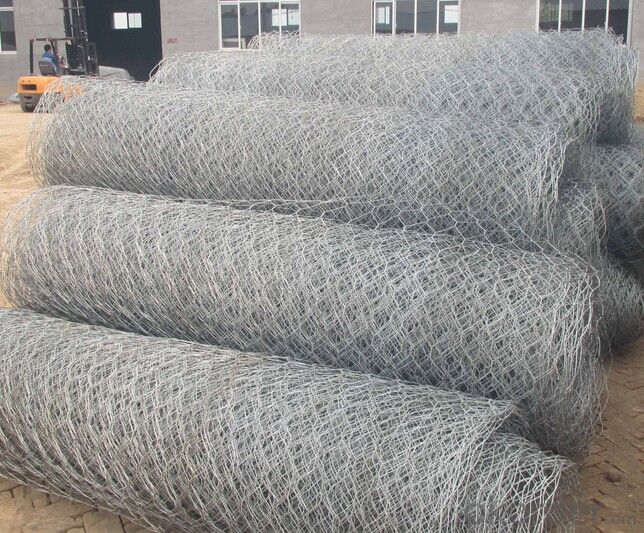 Hot Dipped Galvanized Hexagonal Wire Mesh In Hot Sale