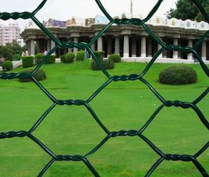 Galvanized Hexagonal Wire Mesh Hot Sale And Low Price