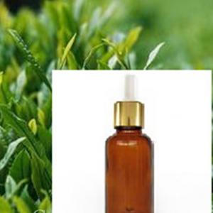 Pine Oil with Best Offer with Best Quality and Strong Package System 1
