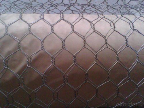 Polished Hexagonal Wire Mesh Hot Sale And Low Price System 1