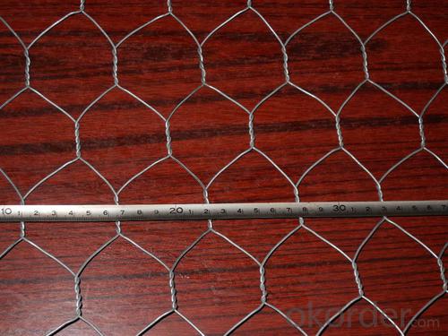 Galvanized Chicken Wire Mesh/Hexagonal Wire Mesh From China System 1