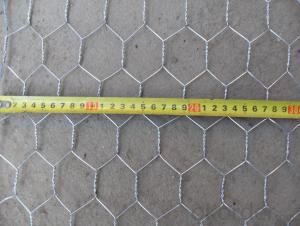 Hexagonal Wire Mesh for Window Protecting Hot Sale And Low Price System 1