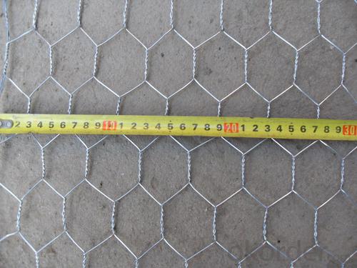 Hexagonal Wire Mesh for Window Protecting Hot Sale And Low Price System 1