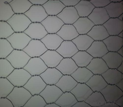 Hexagonal Wire Mesh Chicken Mesh Hot Sale And Low Price System 1