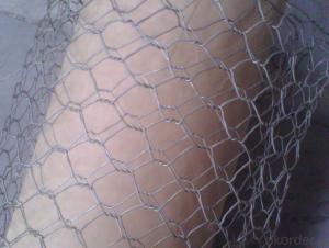 PVC Coated Galvanized Hexagonal Wire Mesh CE, SGS, RoHS Marks High Tensile