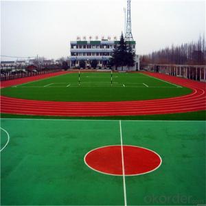 Running Track with 25mm Height and 12000Dtex