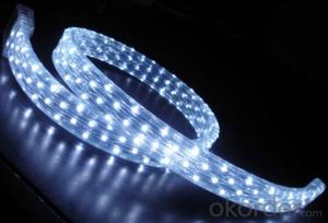 3528 SMD 16.4Ft 300LEDs/5M Single Warm White Color LED Strip Light Waterproof 60 LEDs/M System 1