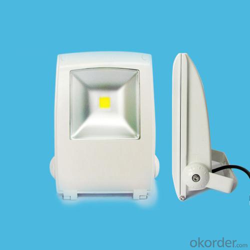 ip68 outdoor lighting led flood light 10w 20w 30w 50w 80w 100w System 1