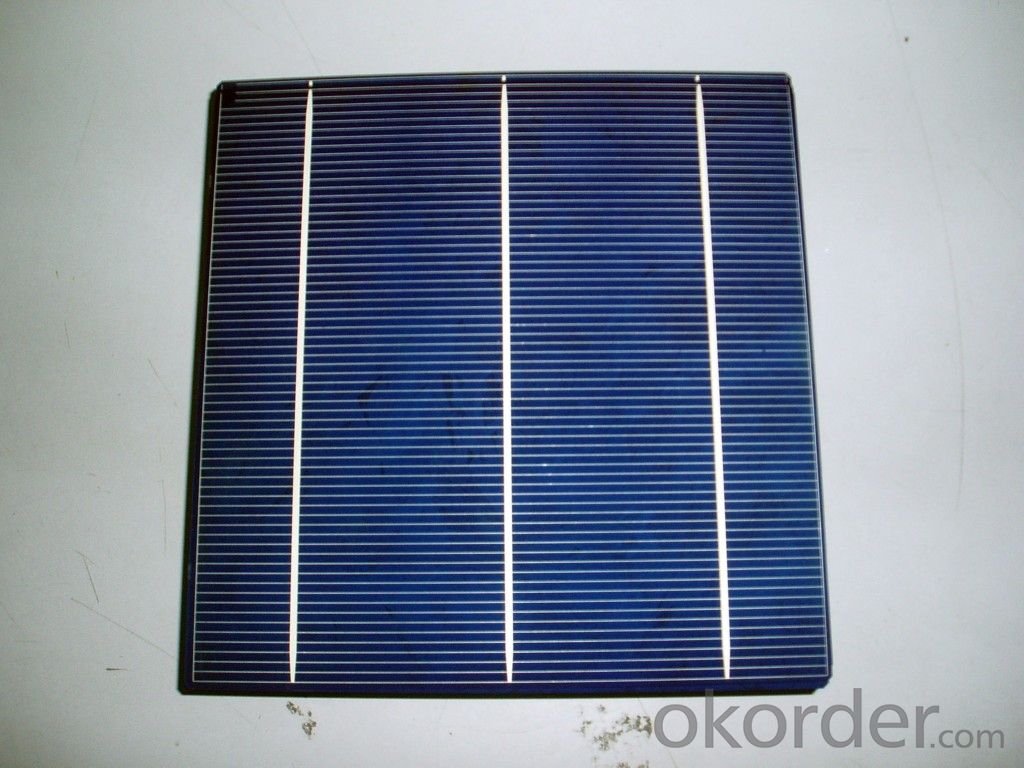 4.33W 3 BB A Grade Poly Solar Cell156mm with17.8-17.9% Efficiency approved by CE TUV