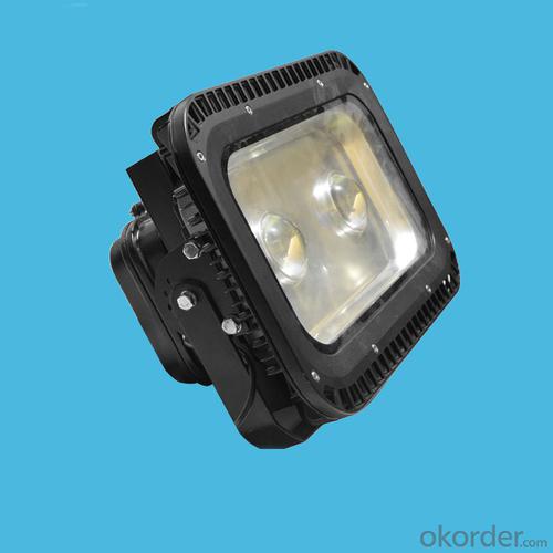 120W bridgelux cob led flood light with die-cast aluminum housing System 1