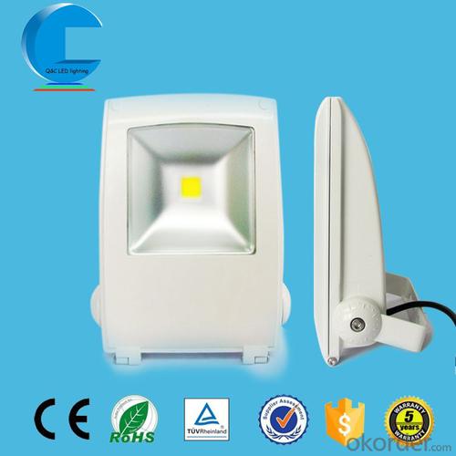 10W LED floodlight portable unique design with CE ROHS approved System 1