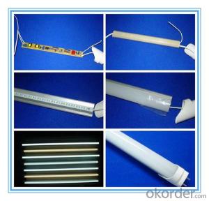 TUV CE Listed T8 24W Frosted LED Tube with 5 Years Warranty