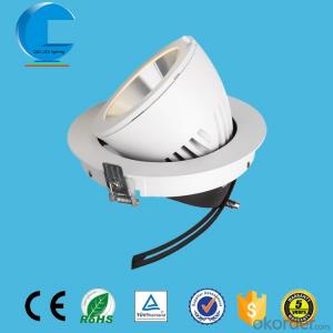 led trunk lamp led cob downlight 20W 30w for 3 years warranty System 1