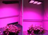 LED Grow Light Full Spectrum LED Hydro Plant Growth Lamp Panel 300W LED Grow Light