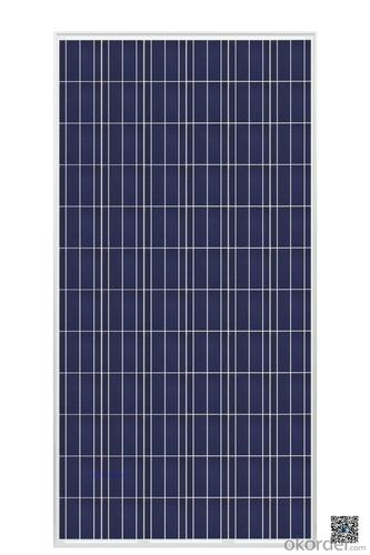 Pseg Solar Panels:Solar Panel Poly for Best Price, Solar Module Panel in Stock System 1