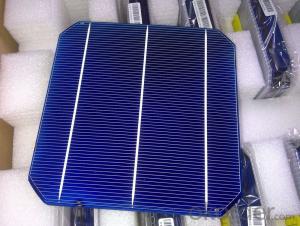 Mono Solar Cells156mm*156mm in Bulk Quantity Low Price Stock 19.4