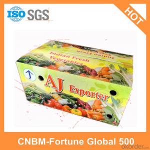 Paper Cartons Custom Made China Manufacturer