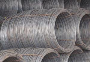 Grade SAE 1010 Hot Rolled Steel Wire Rod in Coils