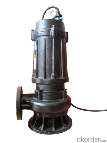 Submersible Sewage Pump in Water to Priming System 1