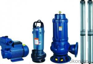 WQ Series Pond Sewage Pump with Competitive Price System 1
